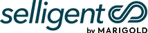 _0009_Logo-Selligent